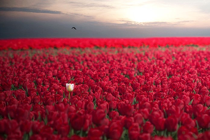 20 фото неймовірної природної краси