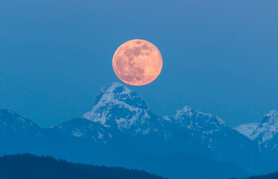 Стрибун, гало та торнадо: названі кращі наукові фото 2019 року