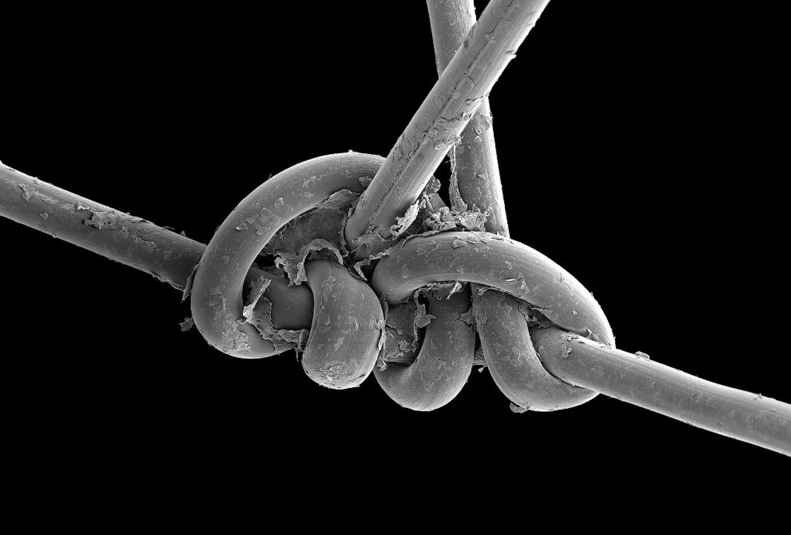 Стрибун, гало та торнадо: названі кращі наукові фото 2019 року