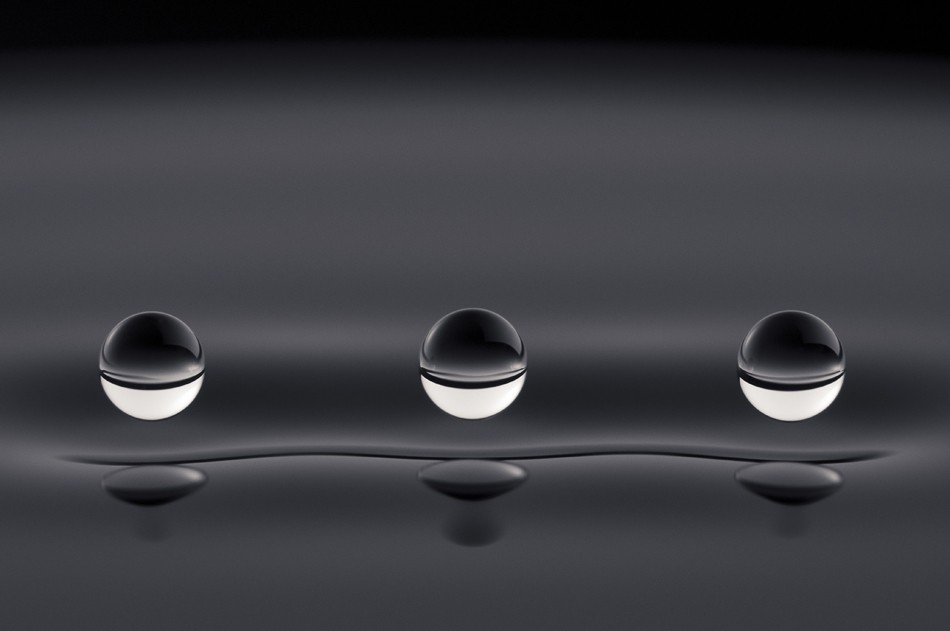 Стрибун, гало та торнадо: названі кращі наукові фото 2019 року