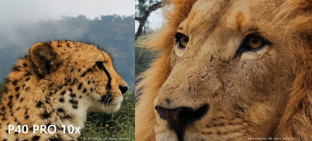 Huawei P40, P40 Pro і P40 Pro+ королі мобільної фотографії