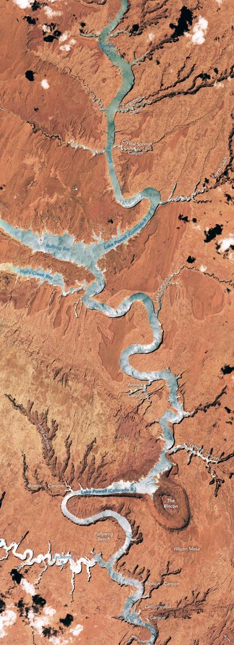 NASA вибрало найкраще фото Землі